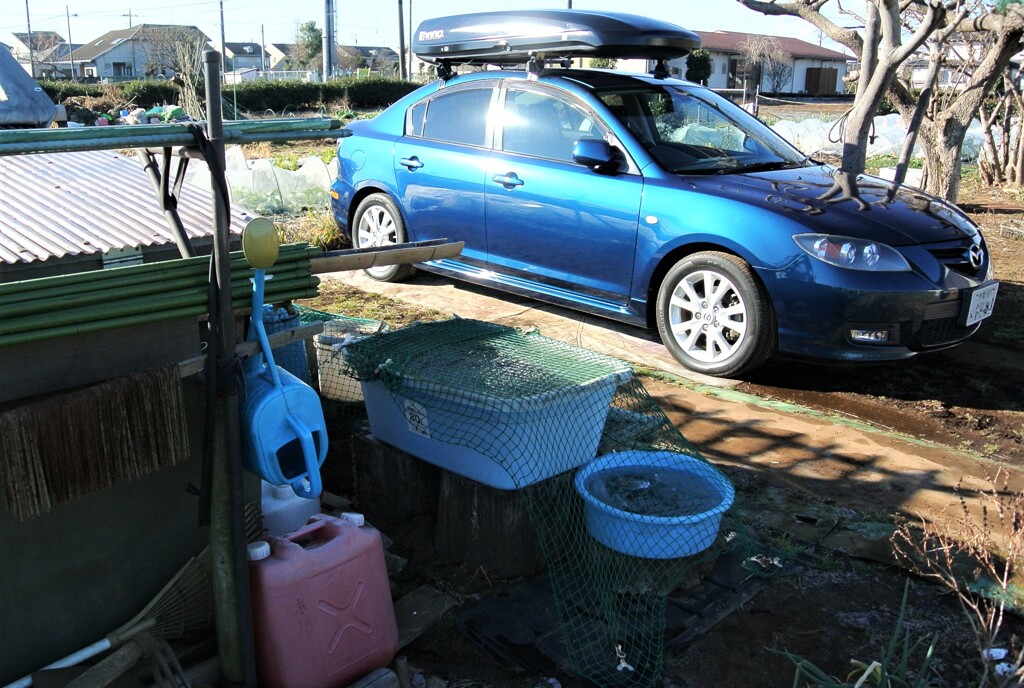 大晦日・寒い朝の菜園と愛車アクセラ