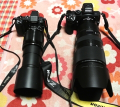 V2vsZ5ミラーレス一眼比較