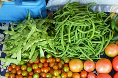 菜園・7月インゲン2種