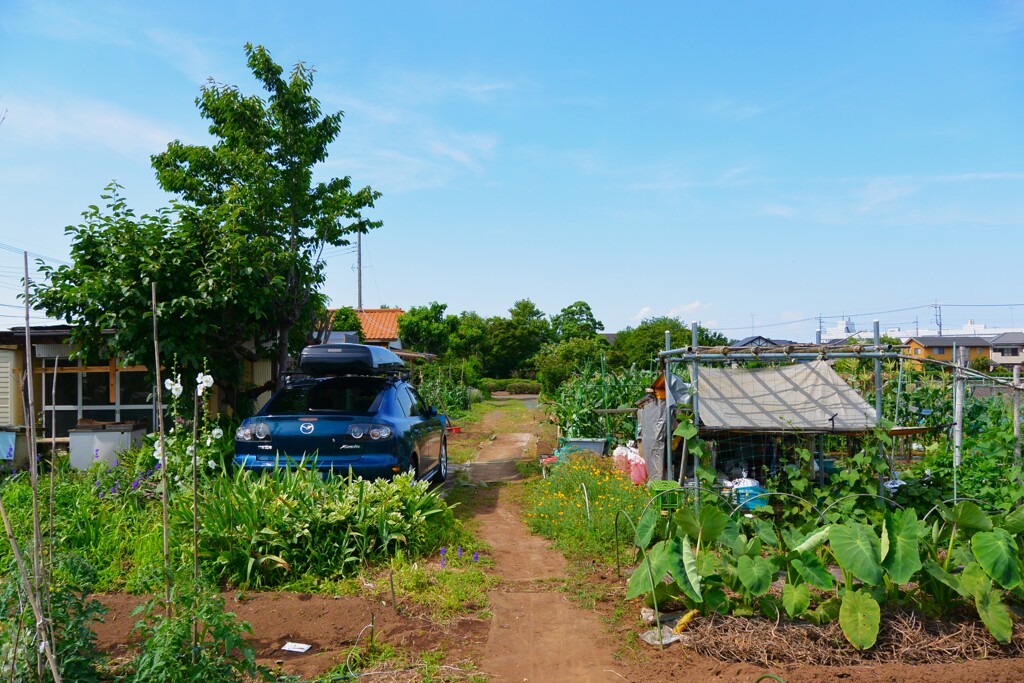 菜園・道具小屋周辺と愛車