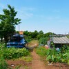 菜園・道具小屋周辺と愛車