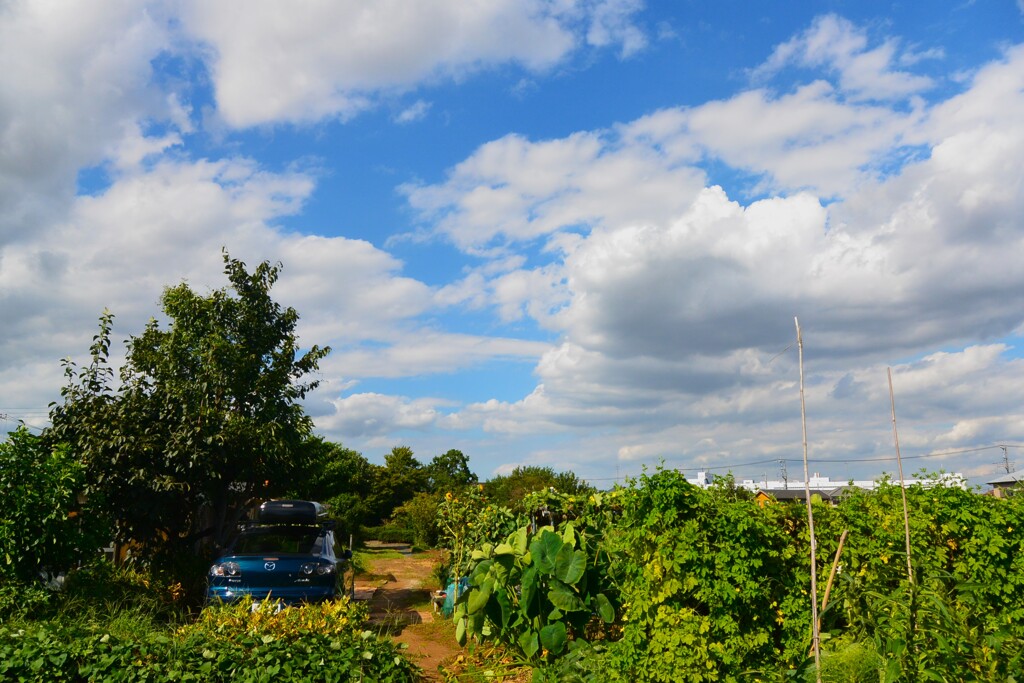 菜園・道具小屋周辺と愛車