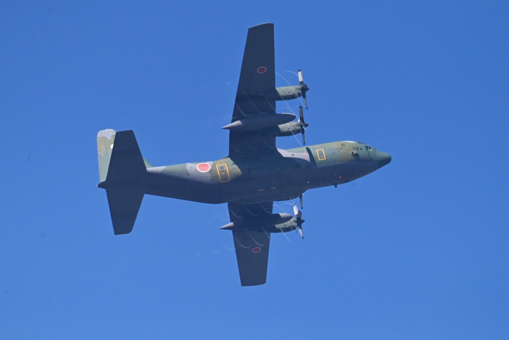 菜園・自衛隊機（C-130 輸送機・ハーキュリーズ）