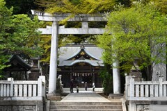 K川沿道・新緑の八坂神社