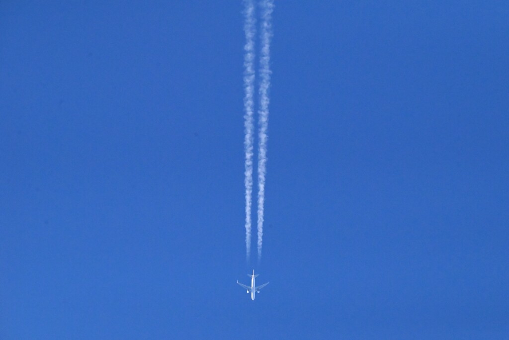 用水路・1月8日 (ひこうき雲)