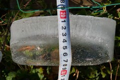 菜園・バケツの氷厚さ約2㎝