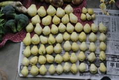 小粒のハヤトウリ（その訳あり）