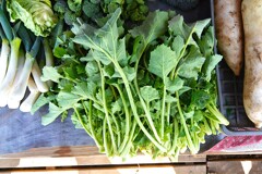 菜園・ツボミナ間引き収穫