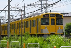 雑草沿線・急行西武新宿行、新2000系