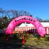 全国大陶器市