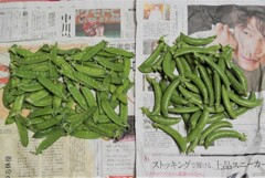 キヌサヤ（左）とスナップエンドウ（右）