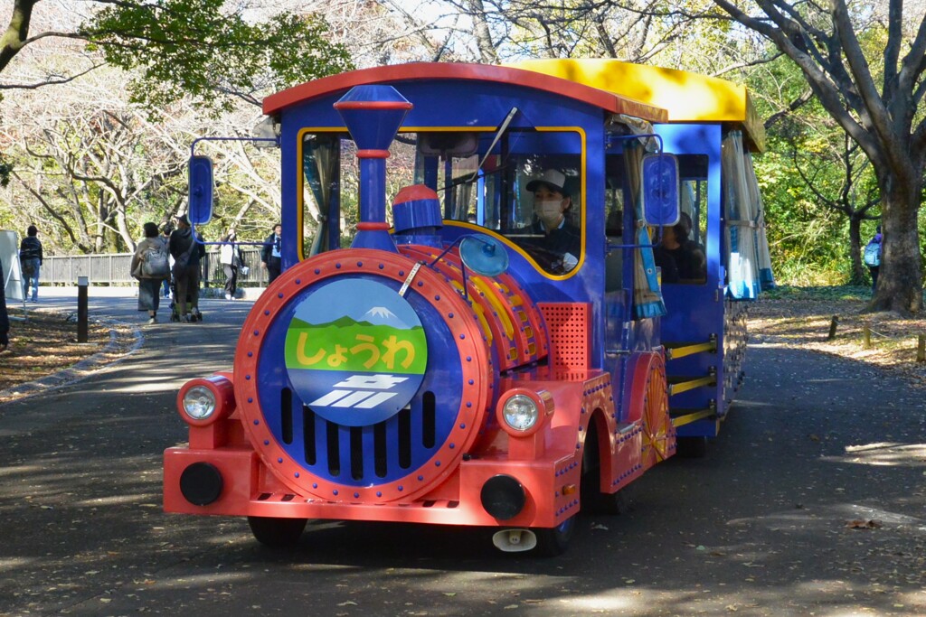 昭和記念公園・パークトレイン 