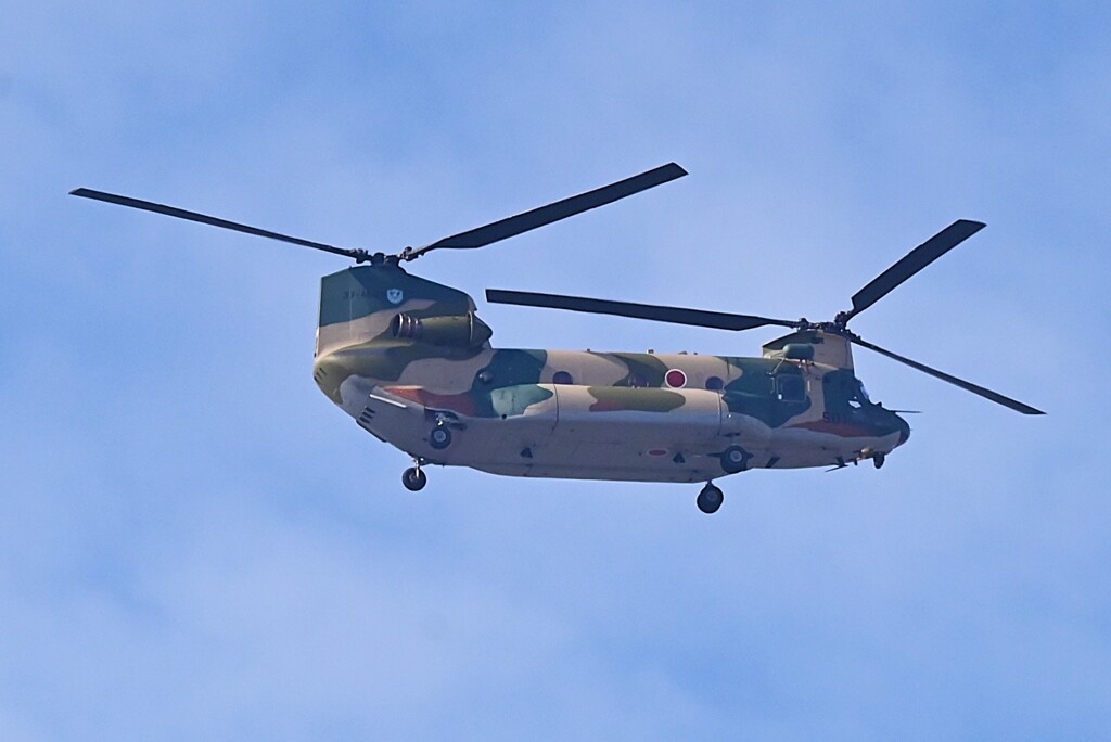 K川上空・自衛隊ヘリコプターCH-1チヌーク