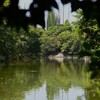都内公園・風のない猛暑の陽の下で・・