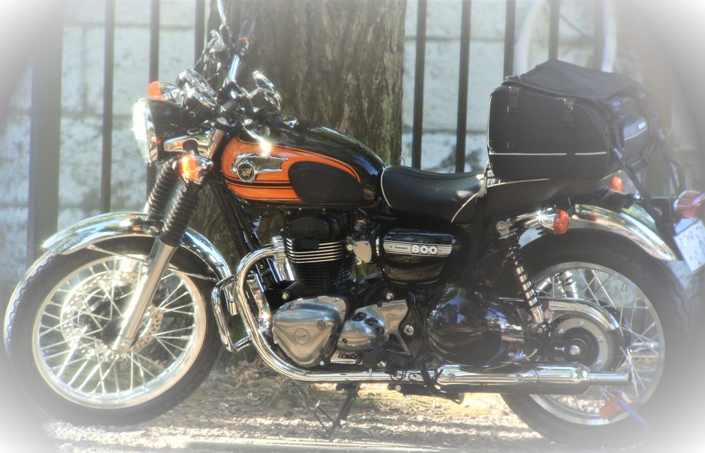 kawasaki・W800