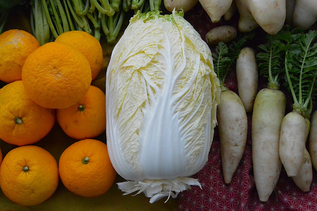 菜園・1月5日最後1個のハクサイ