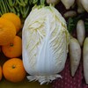 菜園・1月5日最後1個のハクサイ