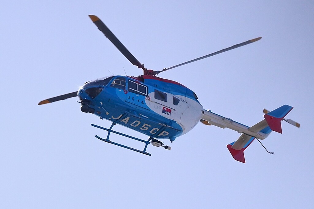 KR園上空・中日新聞社「まなづる」