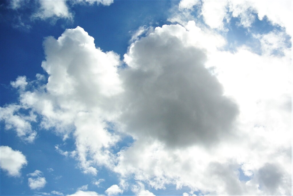 夏の雲