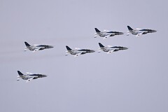 菜園・入間航空祭の前日、インパルス予行演習 (1番機~6番機)