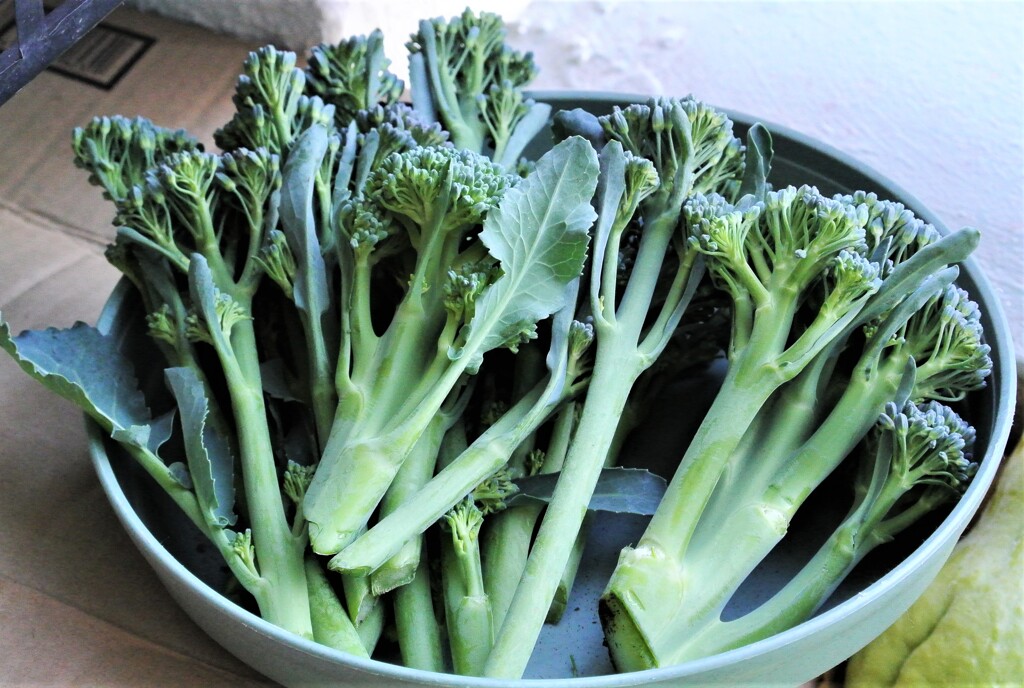 スティックブロッコリー