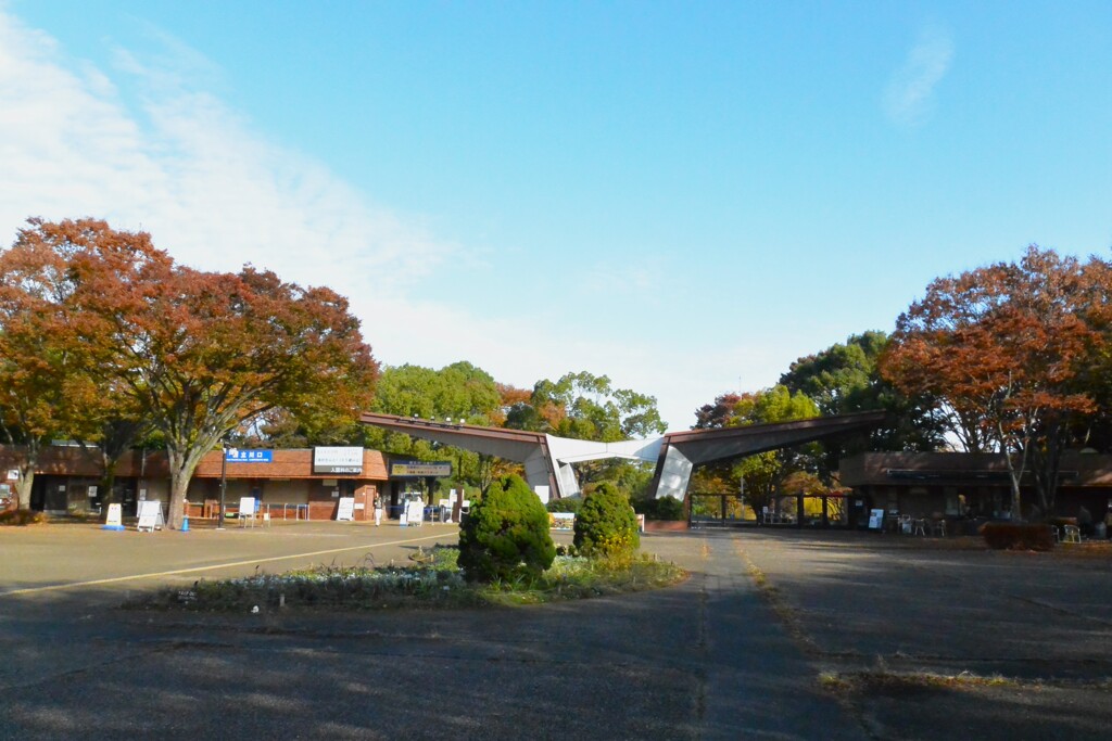 公園ウォークラリー・入門前