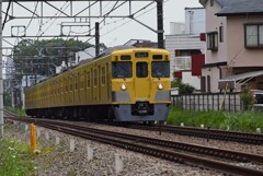 西武鉄道・ハルジオン沿線