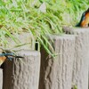 用水路・カワセミ♂♀共に若鳥（テリトリー争い）.