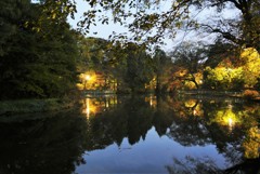 未明の公園