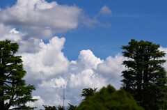 雲