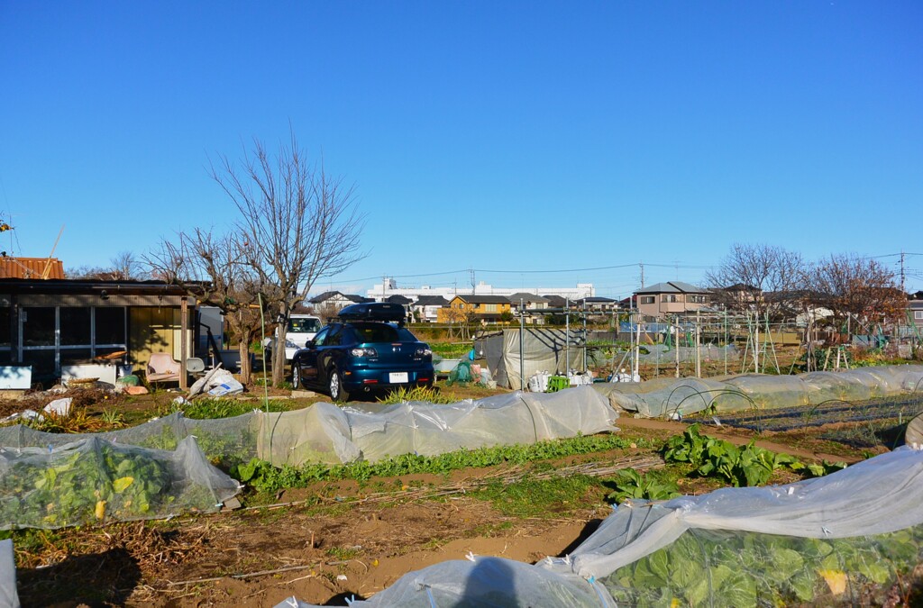 菜園・冬晴れの道具小屋と愛車