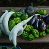 菜園・9月17日の収穫 (ヘビウリ・ピーマン・ナスなど)