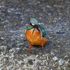 K川下流域・ドジョウを食べるカワセミ♂若鳥