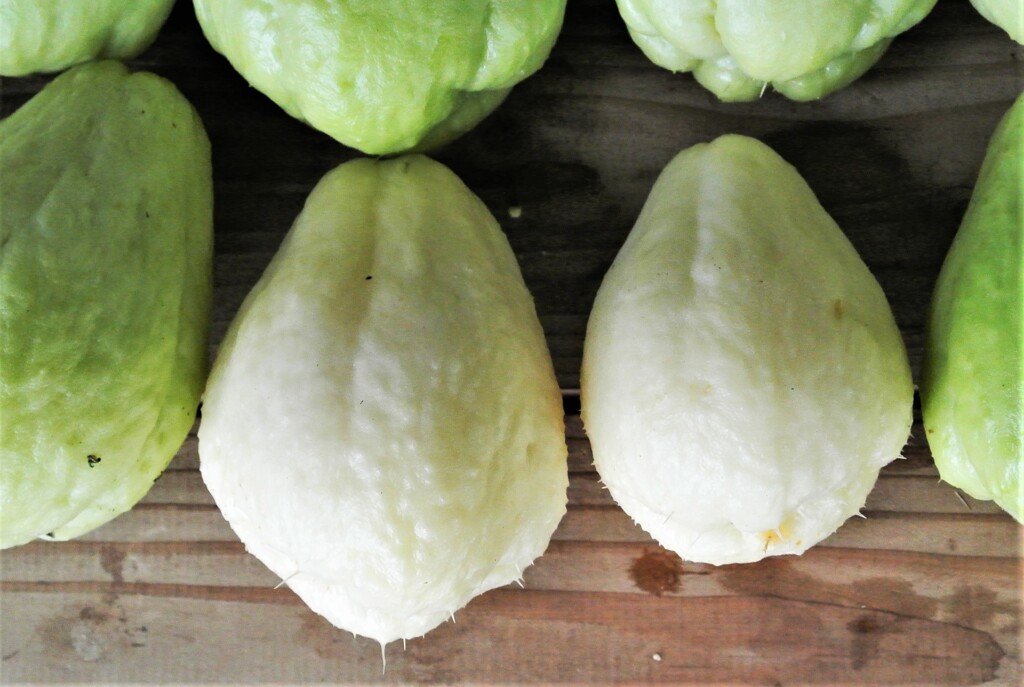 やっと2個だけ穫れた白ハヤトウリ