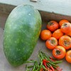 菜園・トウガン最後の一個