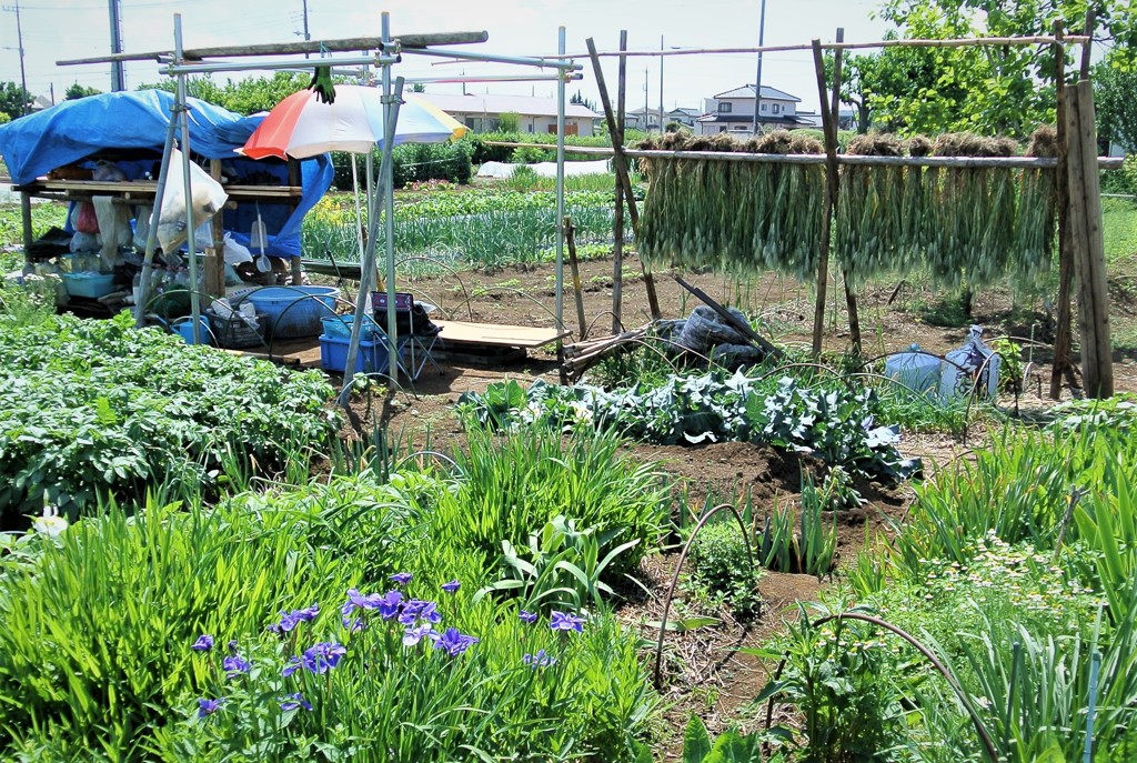 道具小屋大改造開始