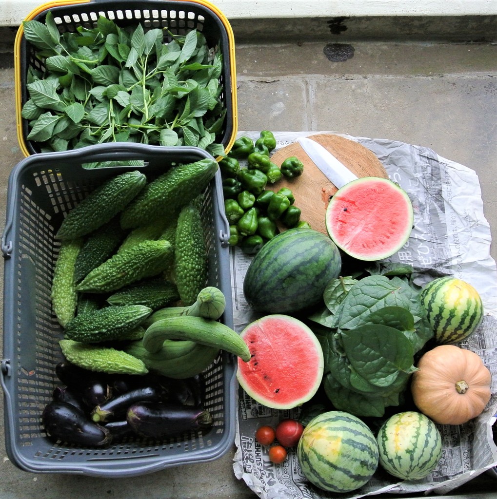 2018.9.2.菜園の収穫