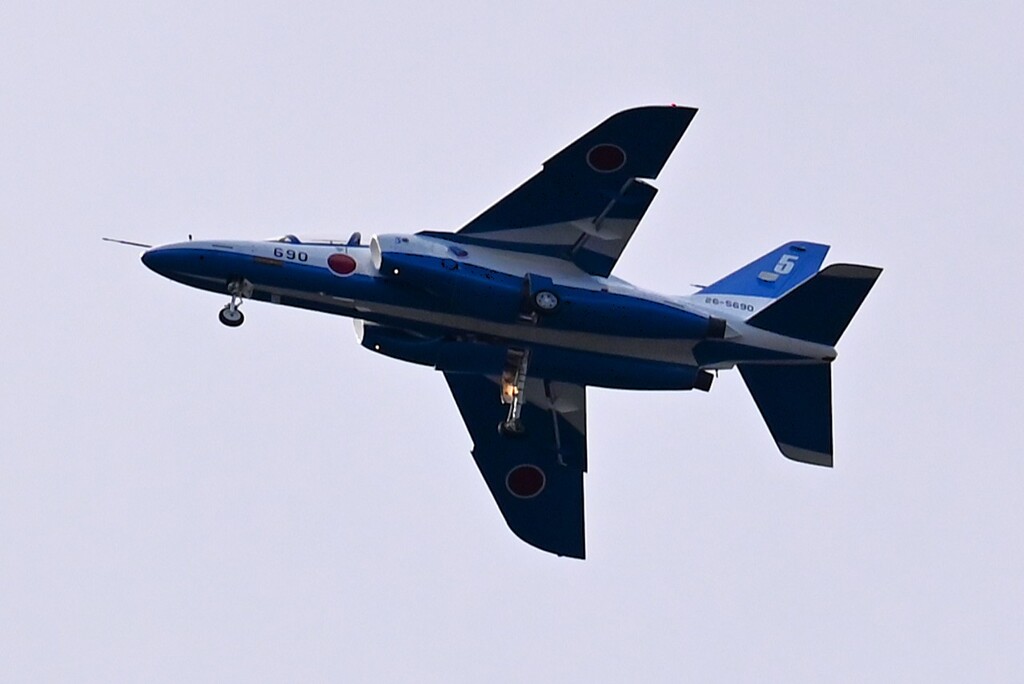 菜園・入間航空祭展示飛行終了基地へ帰還 (5番機)