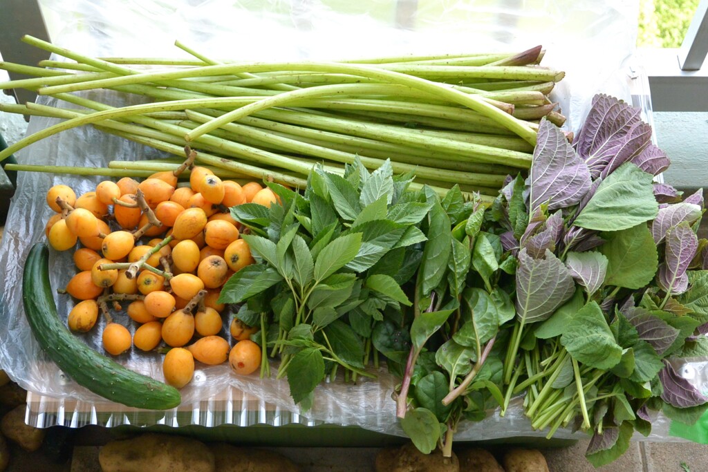 フキ・ビワはいつもの農家さんより