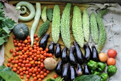 8月24日の収穫・