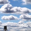 10月10日・まだ夏雲か・・