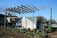 ハヤトウリ棚完成