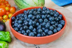 菜園・7月25日ブルーベリー収穫