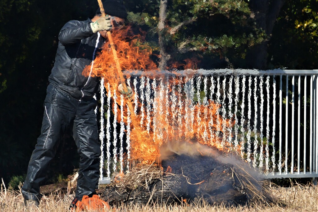 近くの農家さん