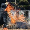 近くの農家さん