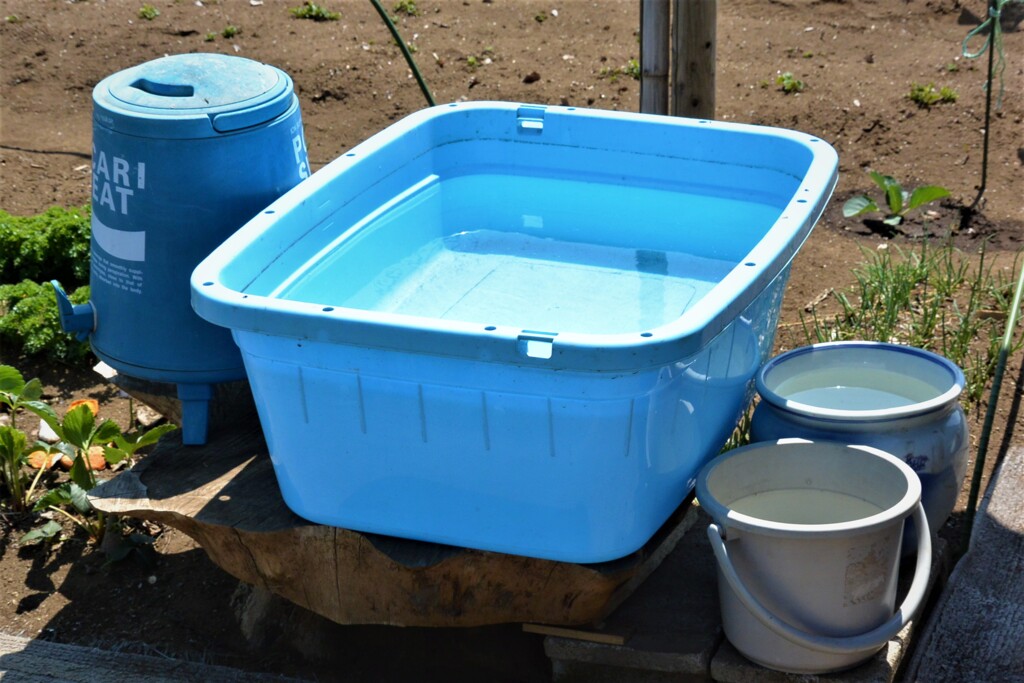 菜園・大容量タライ切り株に設置