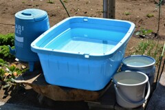 菜園・大容量タライ切り株に設置