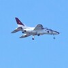 Ｋ川上空・T-4レッドドルフィン