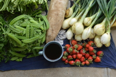 菜園・収穫にコーヒータイム