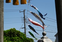 K川下流域～所用の為道を反れて・・こいのぼり